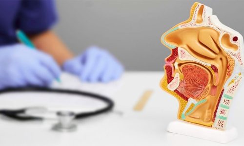 KBB Doktorları Hangi Ameliyatları Yapar?